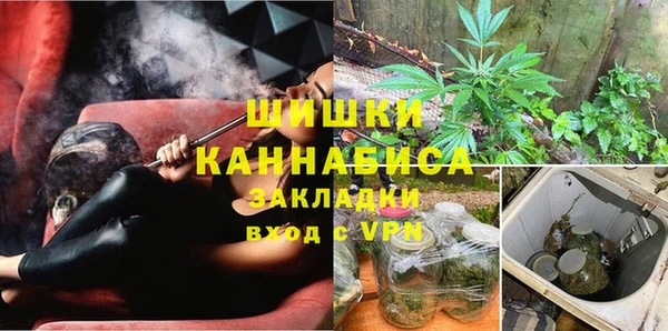 крисы Абаза