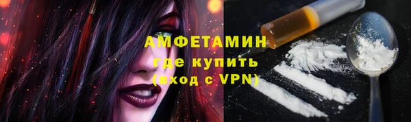 крисы Абаза