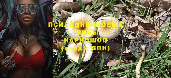 прущие грибы Алексин