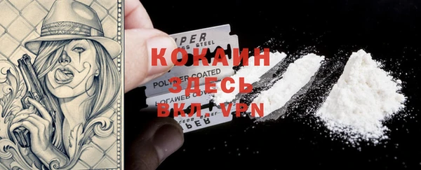 крисы Абаза