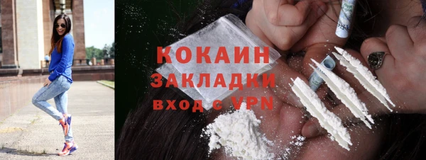 крисы Абаза